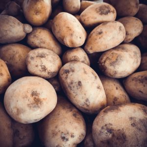 potatoes raw vegetables food. Fresh organic young potatoes