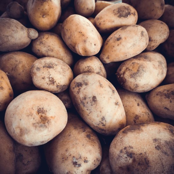 potatoes raw vegetables food. Fresh organic young potatoes